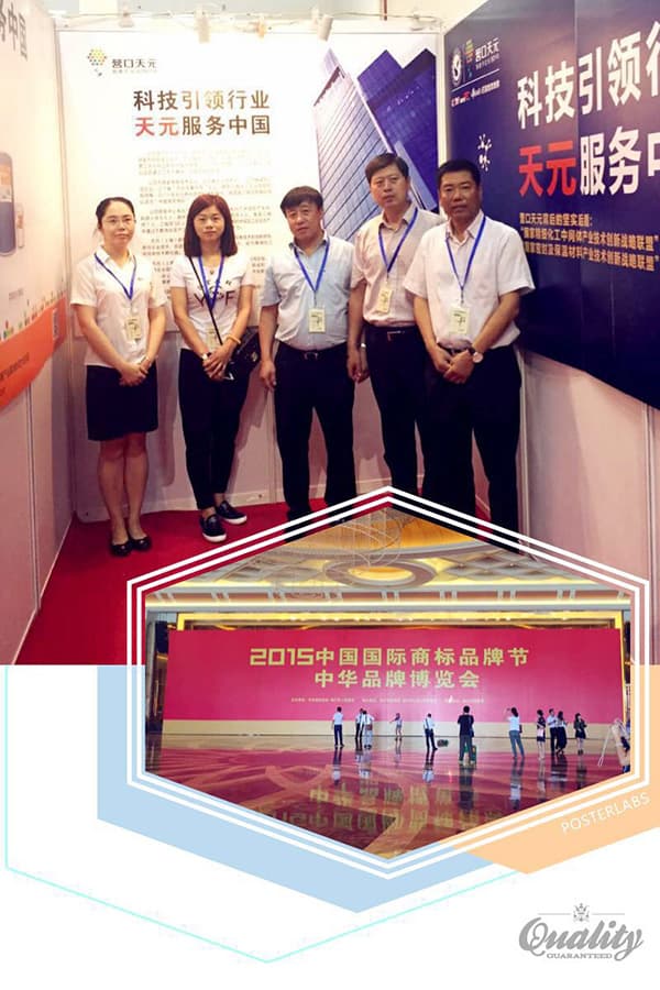 天元受邀参加2015中国国际品牌节