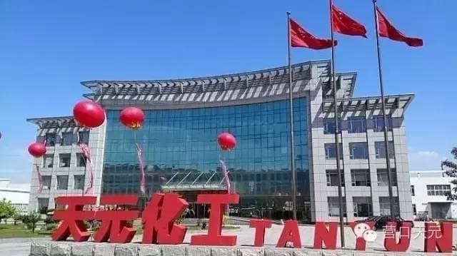 天元科技集团-营口化研所 清理整顿项目通过环保部门备案批复