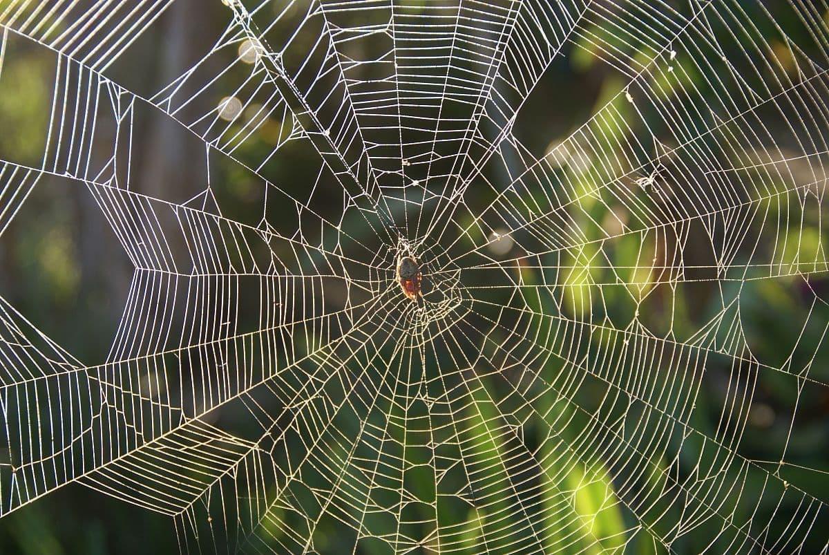 氮化硼之坚硬的材料有什么