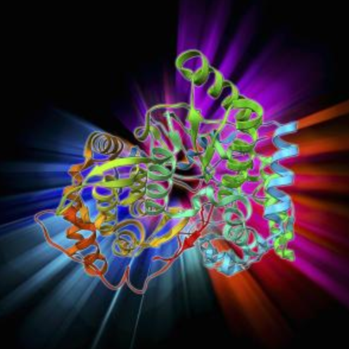 氮化硼纳米,氮化硼纳米粒子制备