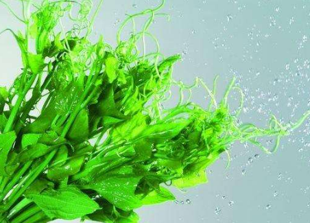 洗衣液香精 洗衣液香精