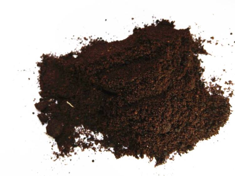 人工麝香与天然麝香的主要作用介绍