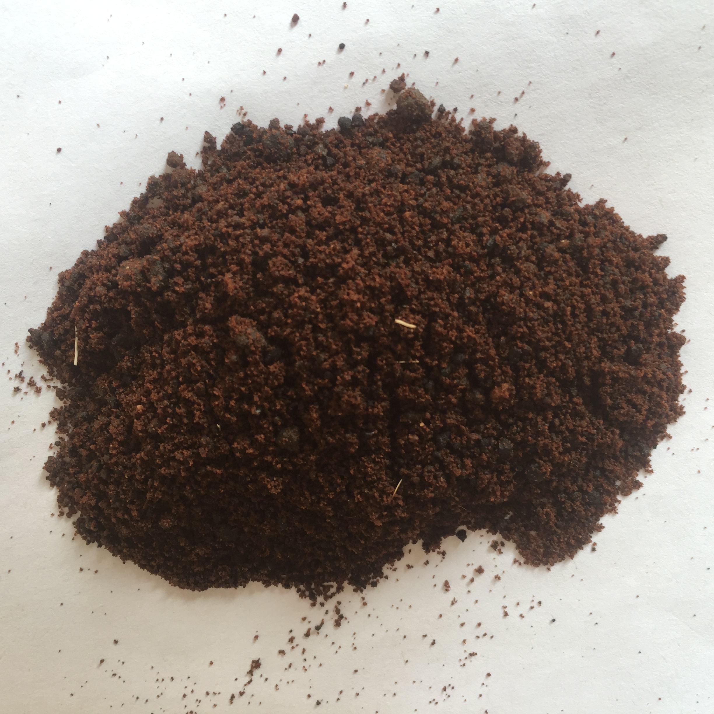 麝香钓鱼药酒使用方法