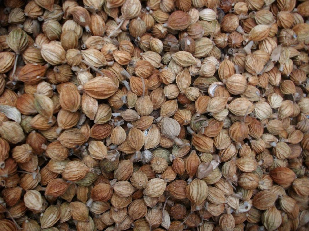 天然香精对人体有什么伤害 天然香精对人体有什么伤害