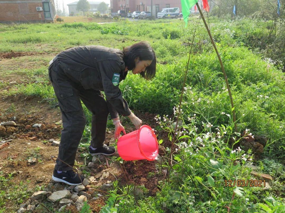 天元科技集团宜昌基地“植树造绿，美丽园区”主题活动圆满结束