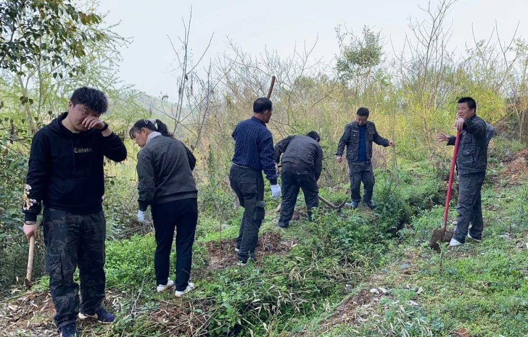 天元航材植树3
