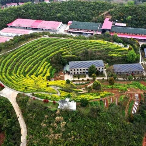 天元新材50周年专题片正式开机 天元新材50周年专题片正式开机