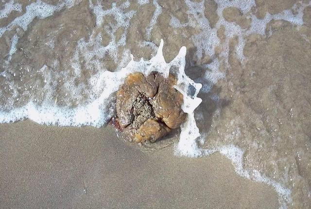 龙涎香香水的定香剂 龙涎香香水的定香剂