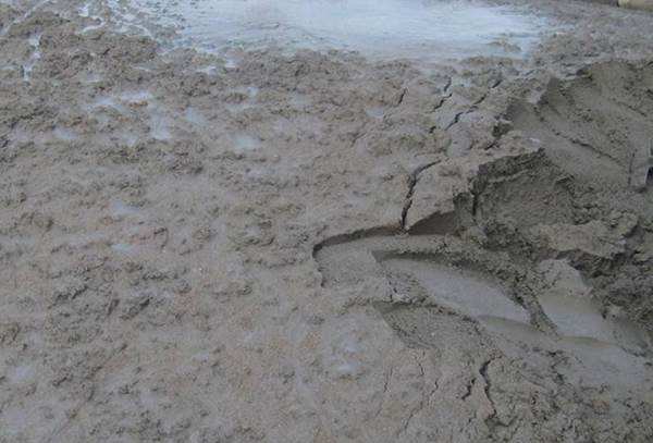 ph缓冲剂四硼酸钠相关介绍