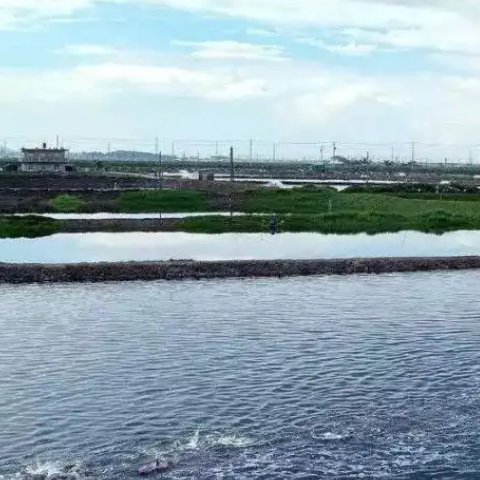 增塑剂生产废水治理 增塑剂生产废水治理