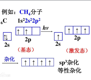 杂化类型有哪些 杂化类型有哪些