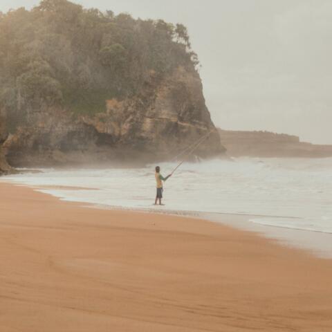 鱼百科:钓鱼麝香粉的使用方法