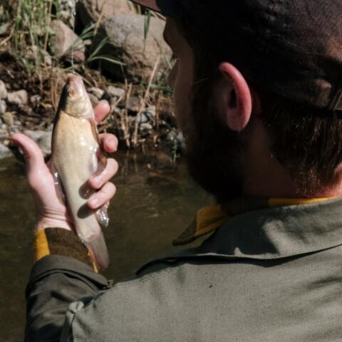 麝香酒钓鱼正确步骤